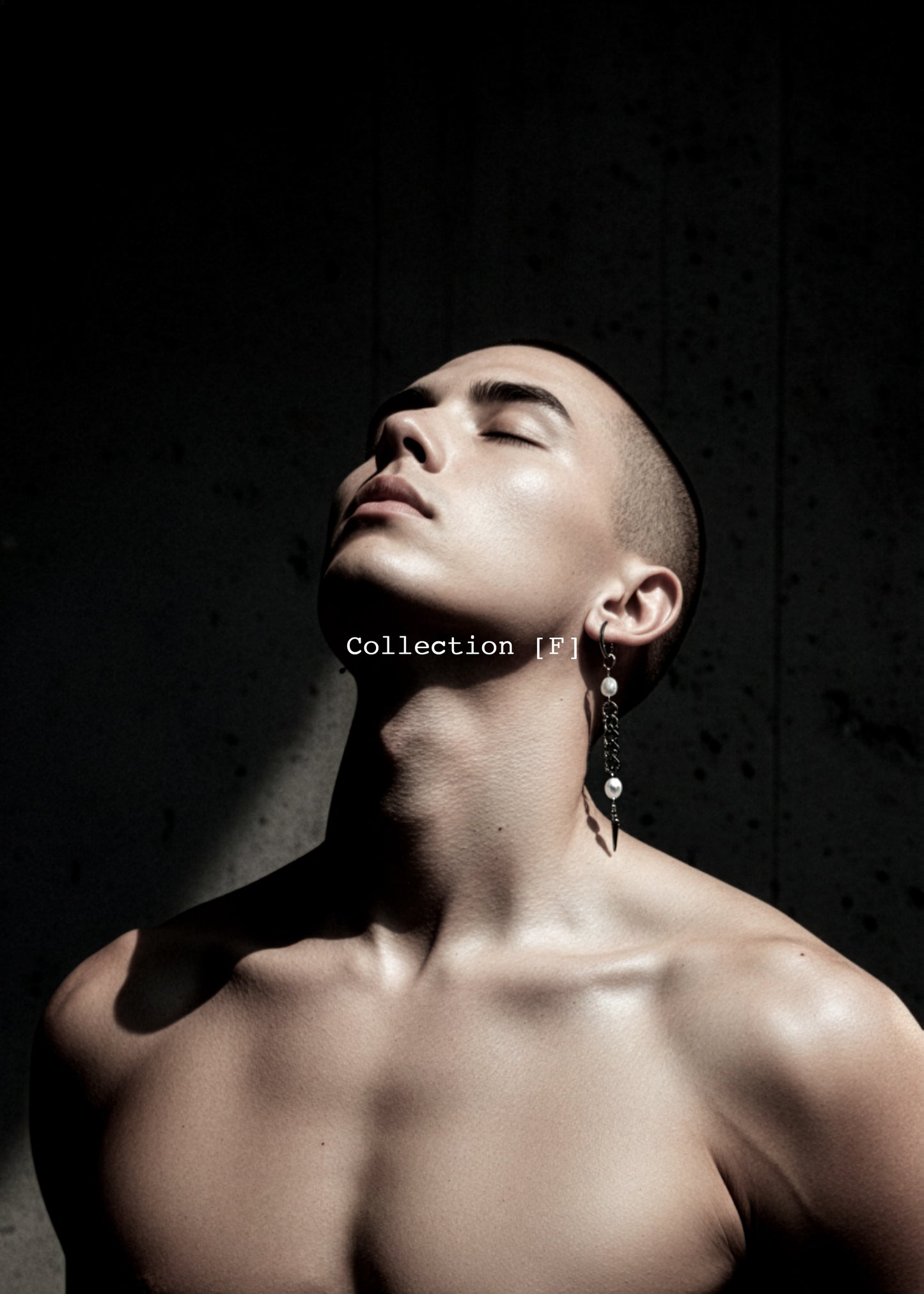 Artistic Earrings F-12 Collection-[F] limited edition by artisans ー MEKERA STUDIOS